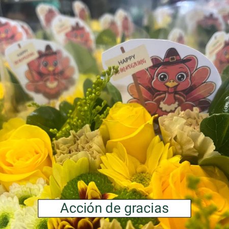 acción de gracias