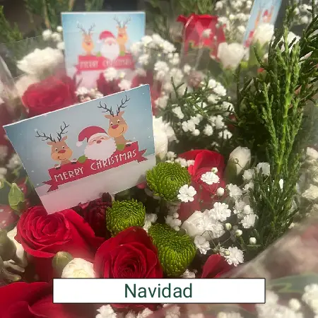 navidad