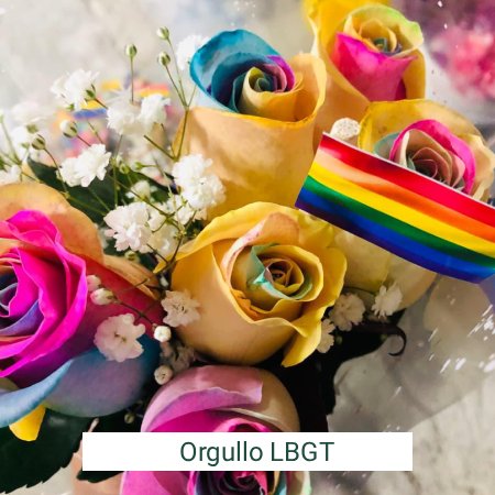 orgullo lgbt mobile